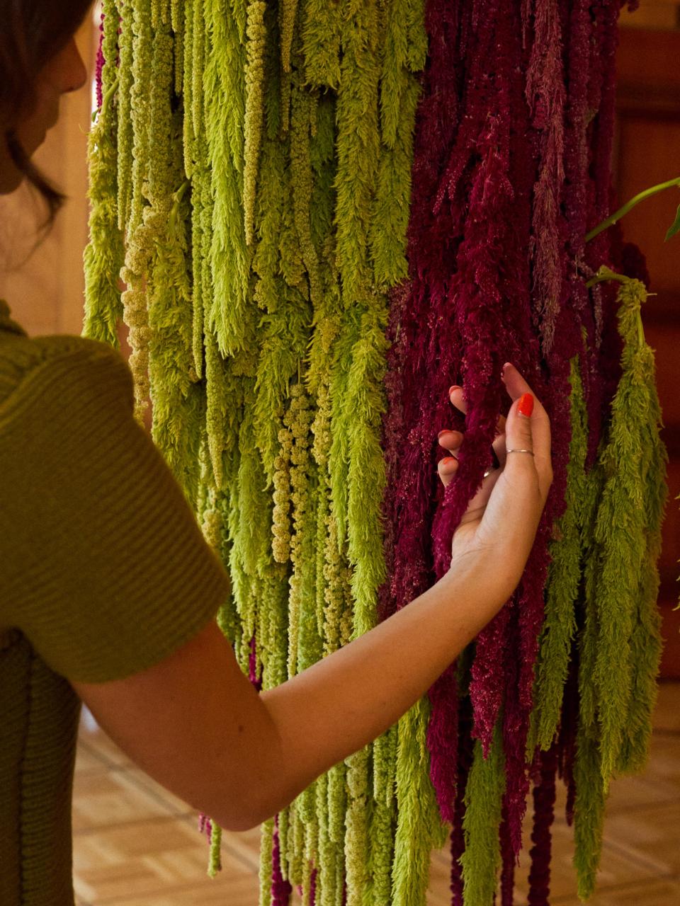 close up amaranthus