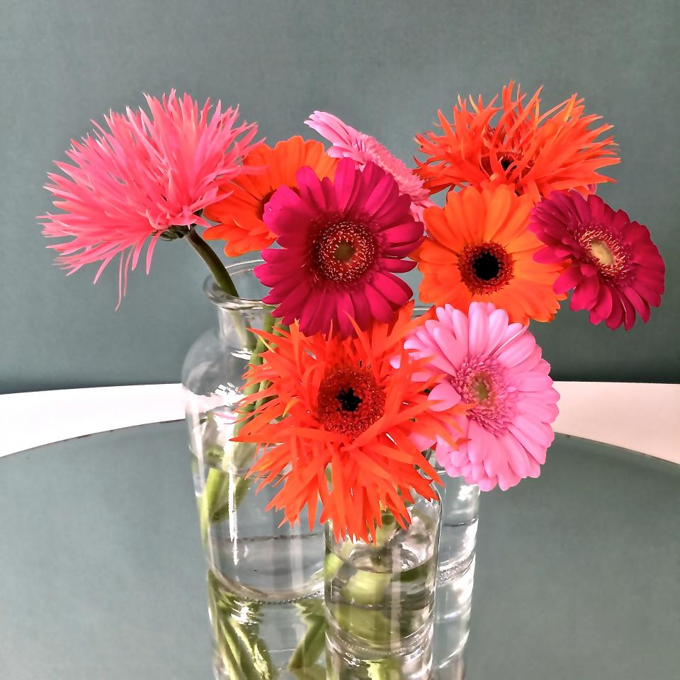 lajoiedesfleurs.fr couleurs gerbera fleurs vase 