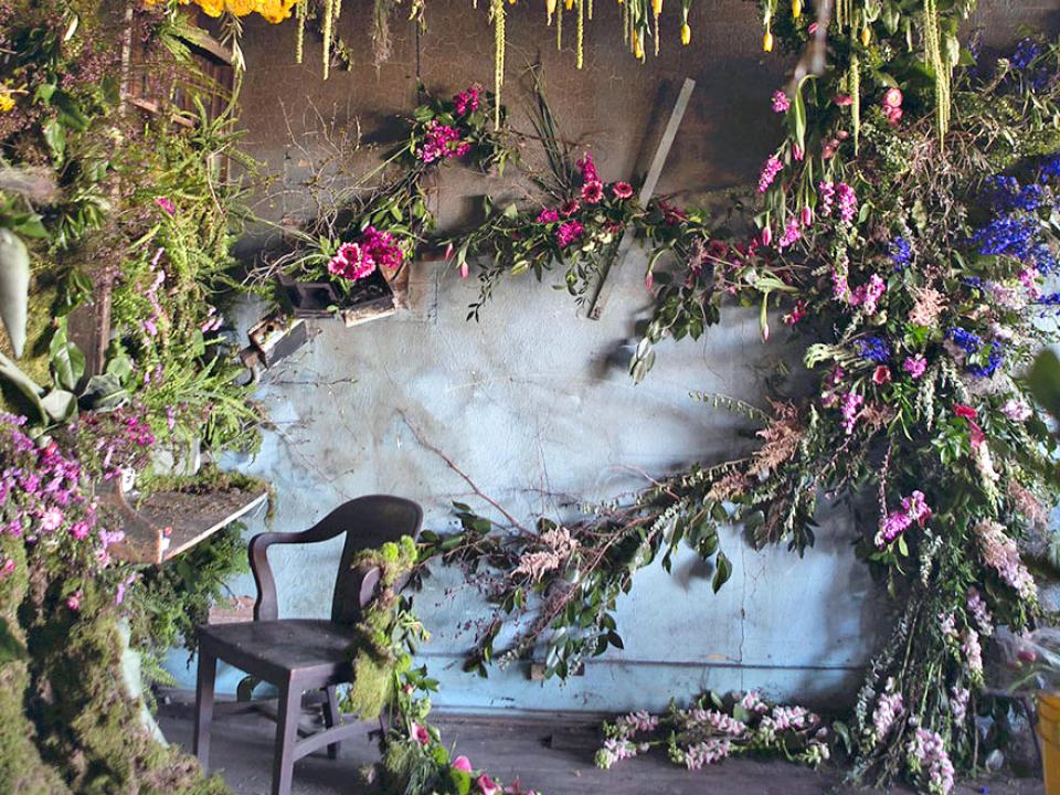 lajoiedesfleurs.fr flower house, fleurs, plantes, maison, Lisa Waud, fleuriste, ruine, belle, artistes, visiteurs