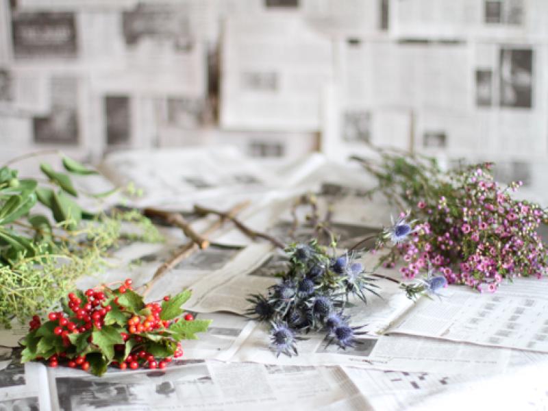 lajoiedesfleurs.fr Des fleurs qui illuminent diy