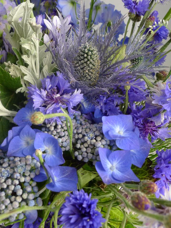 lajoiedesfleurs.fr  bleu football coupe du monde couleurs