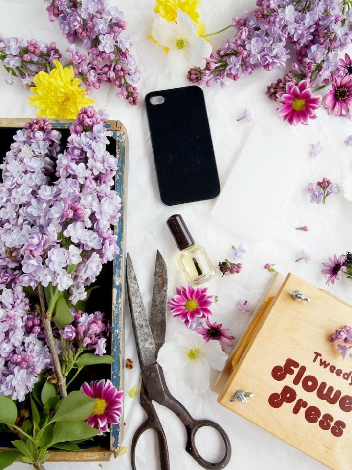 FLORA, coque de téléphone en fleurs séchées multicolores et feuilles d'or